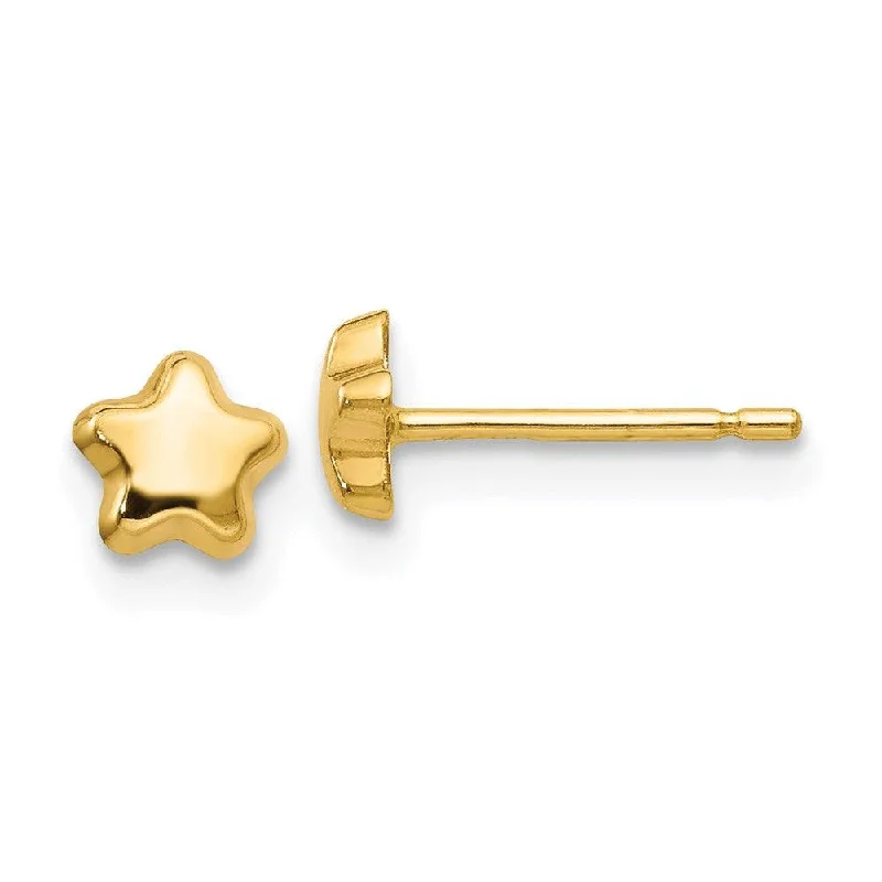 Premium Gold Earrings-14k Polished Star Post Earrings